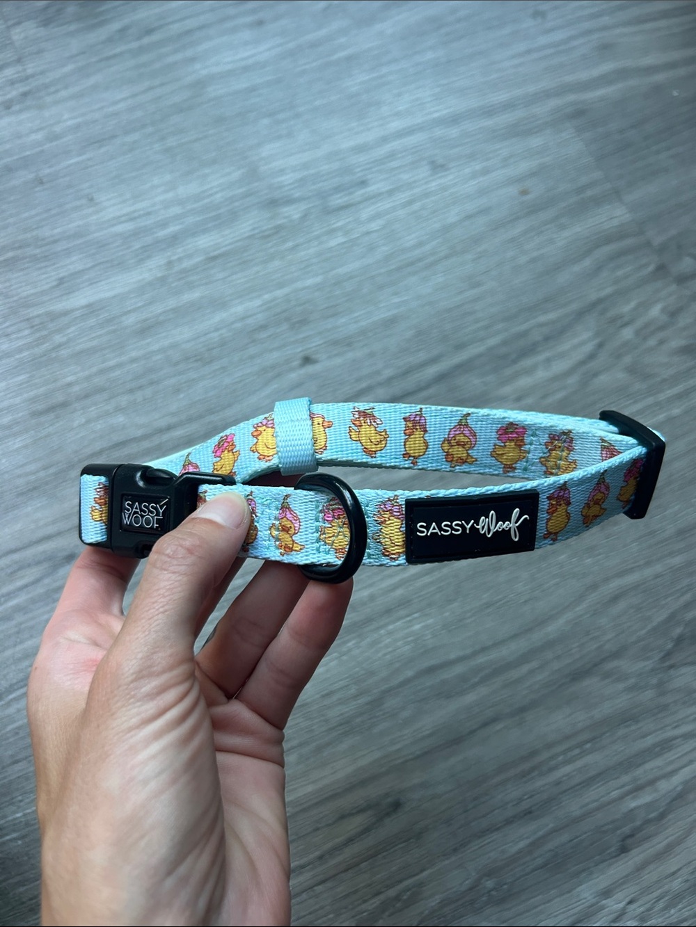 Sassy Woof Good Duck Babe Dog Collar
